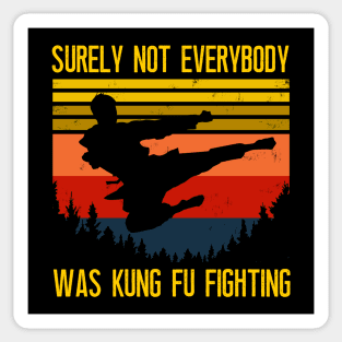 Surely Not Everybody Was Kung Fu Fighting Sticker